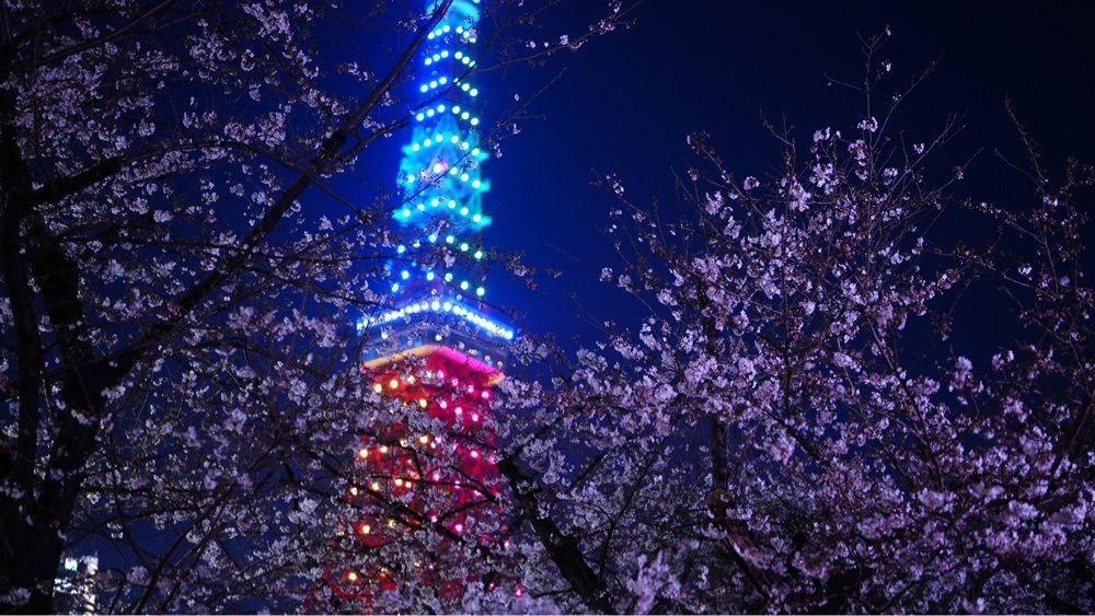 jamesさんが投稿したパーティールームに関する口コミの画像