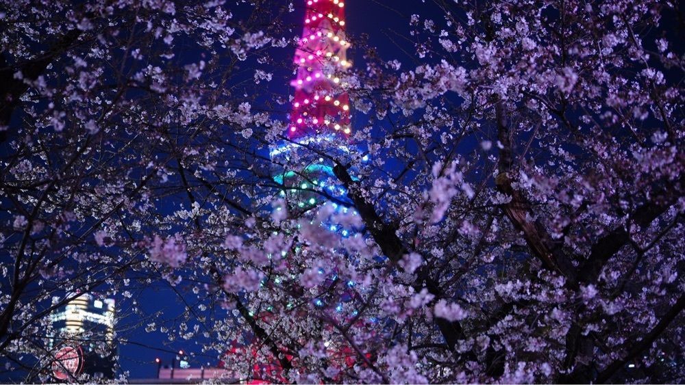 jamesさんが投稿したパーティールームに関する口コミの画像