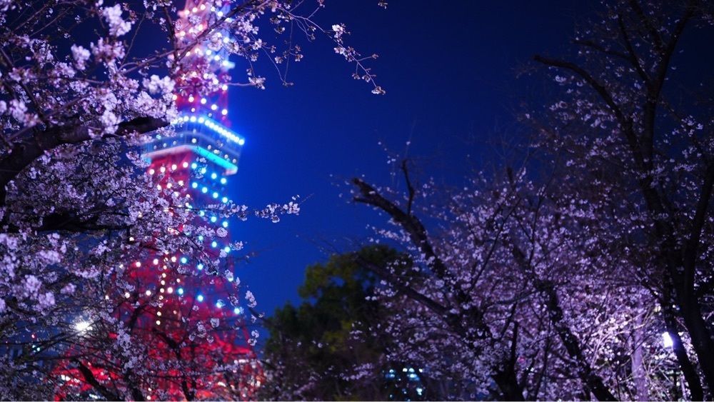 jamesさんが投稿したパーティールームに関する口コミの画像