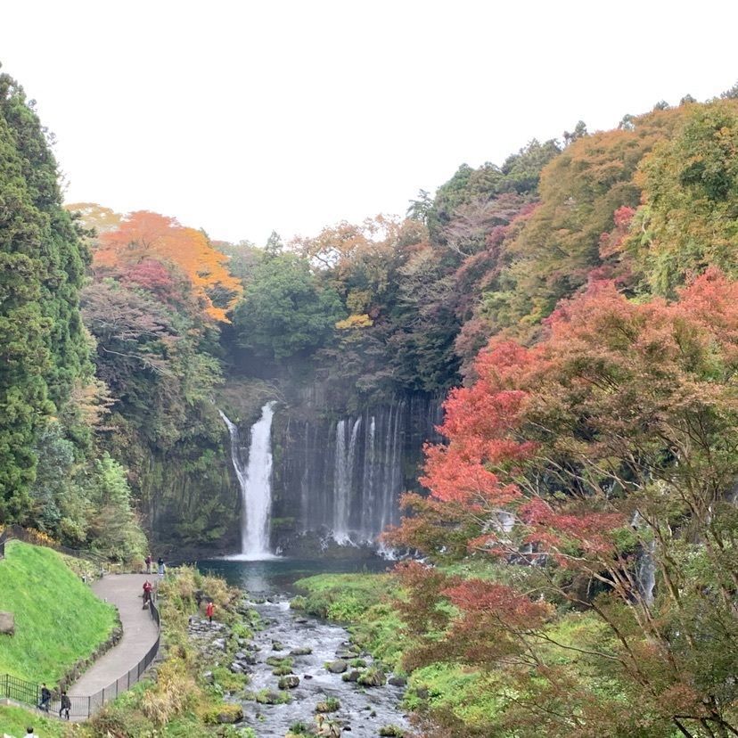 annko(/ω*＊) さんが投稿した白糸の滝に関する口コミの画像