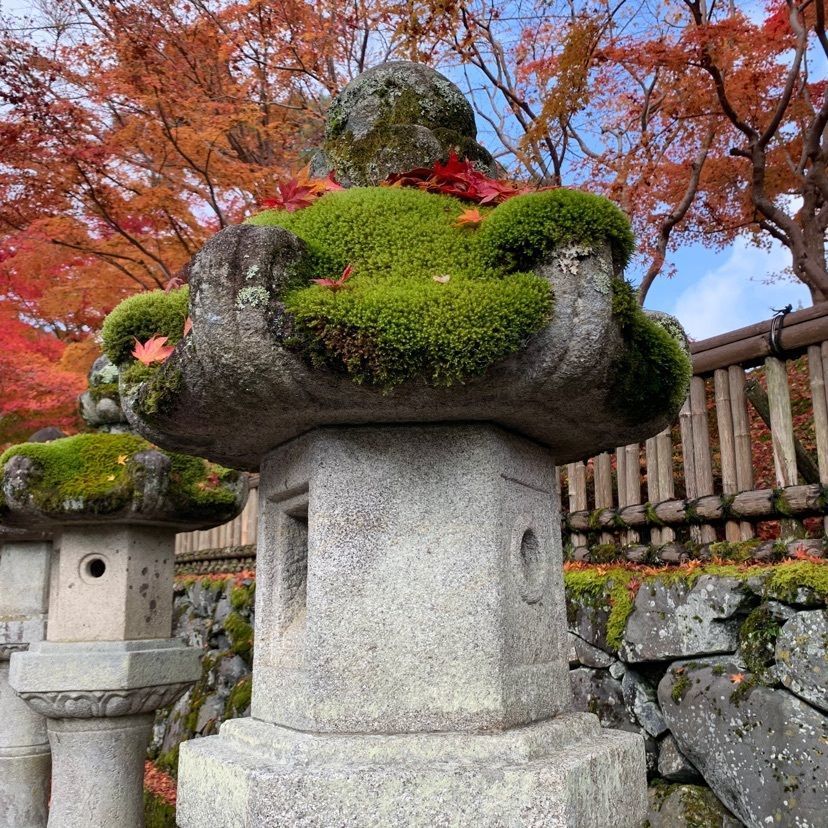 ヒデヤンさんが投稿した西室院に関する口コミの画像