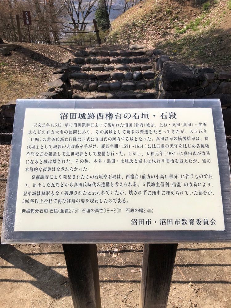 からっ風②さんが投稿した沼田公園の桜に関する口コミの画像