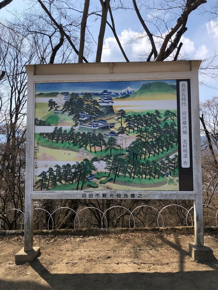 からっ風②さんが投稿した沼田公園の桜に関する口コミの画像
