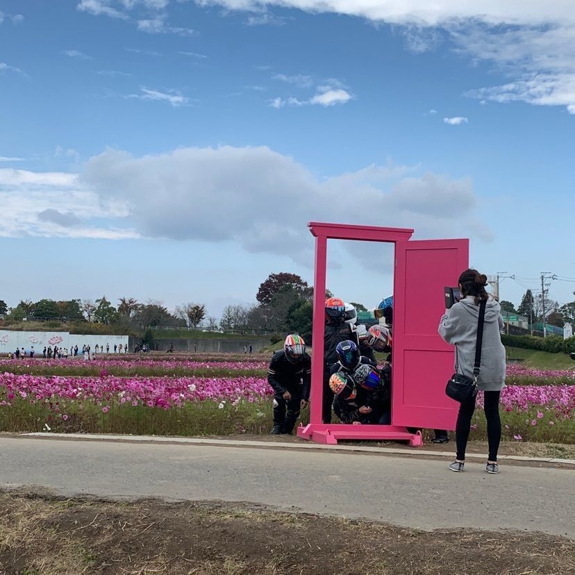formal_showtime_2f4fさんが投稿した秋桜（コスモス）に関する口コミの画像