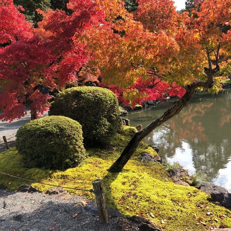 💧- ma - 🍀 - ka -💧さんが投稿した永保寺庭園に関する口コミの画像
