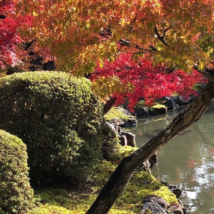 💧- ma - 🍀 - ka -💧さんが投稿した永保寺庭園に関する口コミの画像