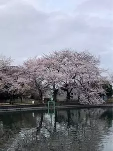 ヤマト屋