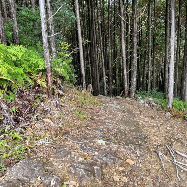 madone_takeshiさんが投稿した熊野参詣道小辺路(果無越え)に関する口コミの画像