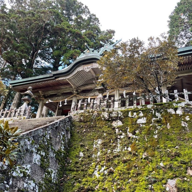 madone_takeshiさんが投稿した玉置山巨杉群に関する口コミの画像