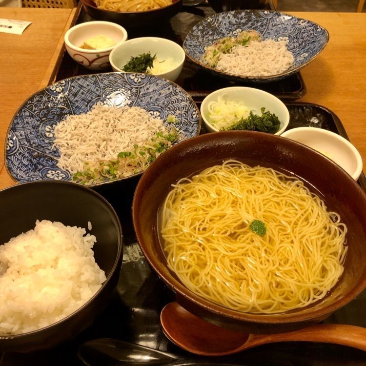 koala_032の画像