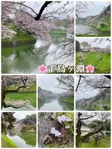 千鳥ケ淵