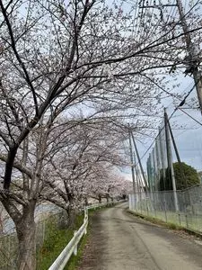高麗家住宅