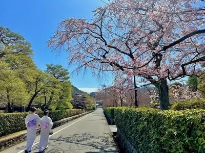 野村美術館（休館中）