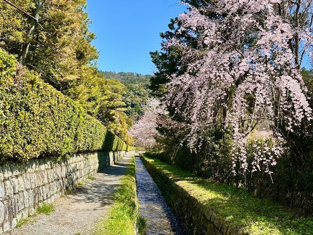 ヒデヤンさんが投稿した野村美術館（休館中）に関する口コミの画像