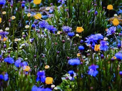 茨城県陶芸美術館