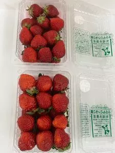 福永農産　ぶらんこいちご園