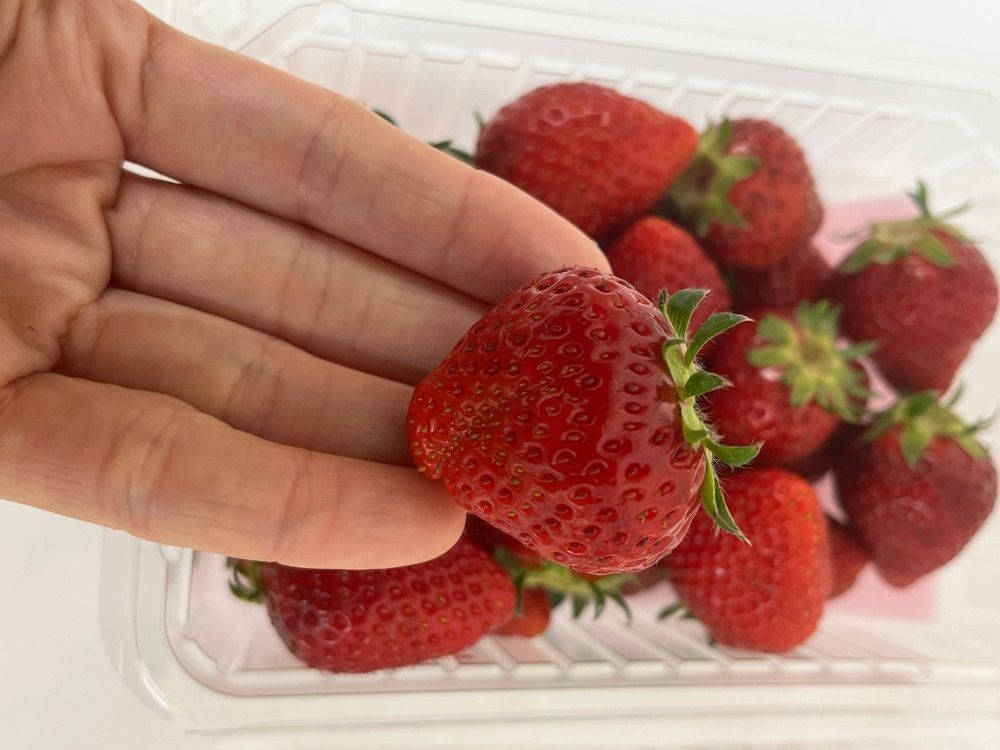 エリーチカさんが投稿した福永農産　ぶらんこいちご園に関する口コミの画像
