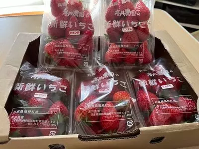 高井農園