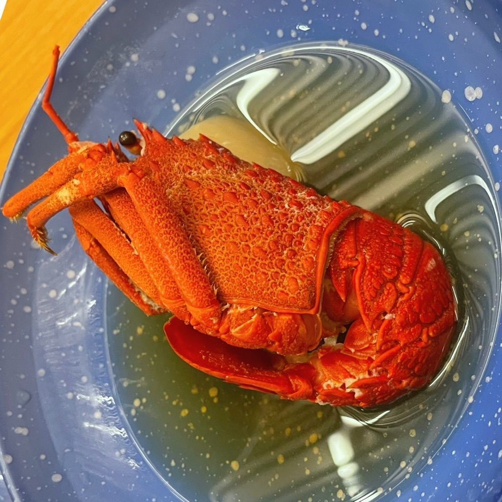 Mr. イリジウム シルバーさんが投稿した希望荘に関する口コミの画像