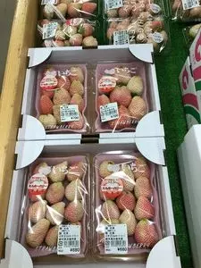 道の駅 やいた