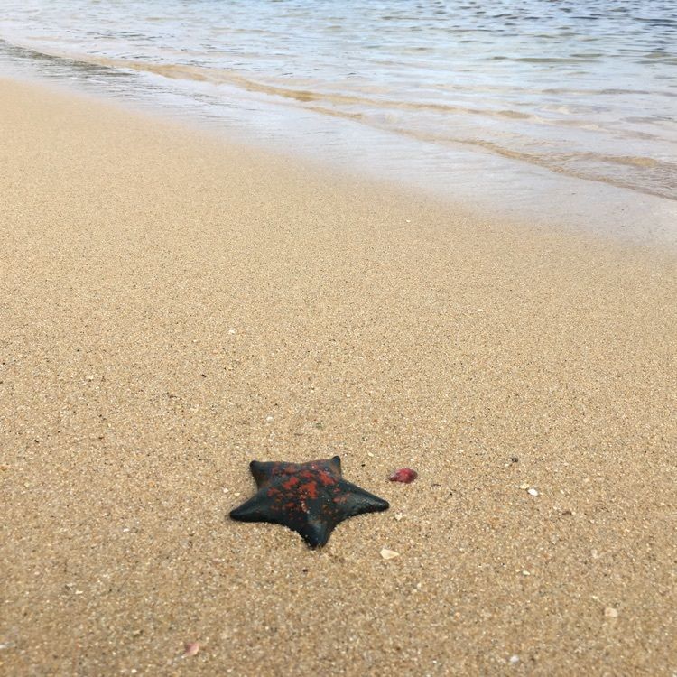 ozzozzさんが投稿した水島に関する口コミの画像