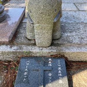 弁天サロン 8枚目