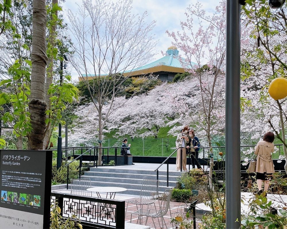 active34さんが投稿したBusiness-Airport Cafe 九段会館テラス店（ビジネス エアポート カフェ）に関する口コミの画像