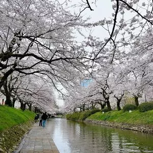 富山城址公園