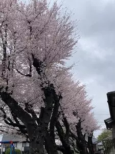 蔵の家
