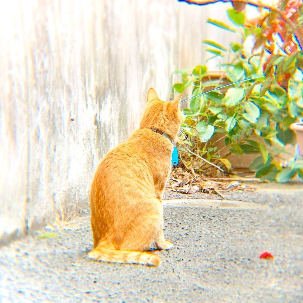 兎きちさんが投稿した高千穂牧場 宮崎山形屋店に関する口コミの画像