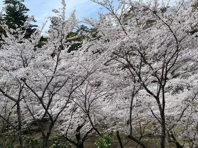 嚴島神社宝物館