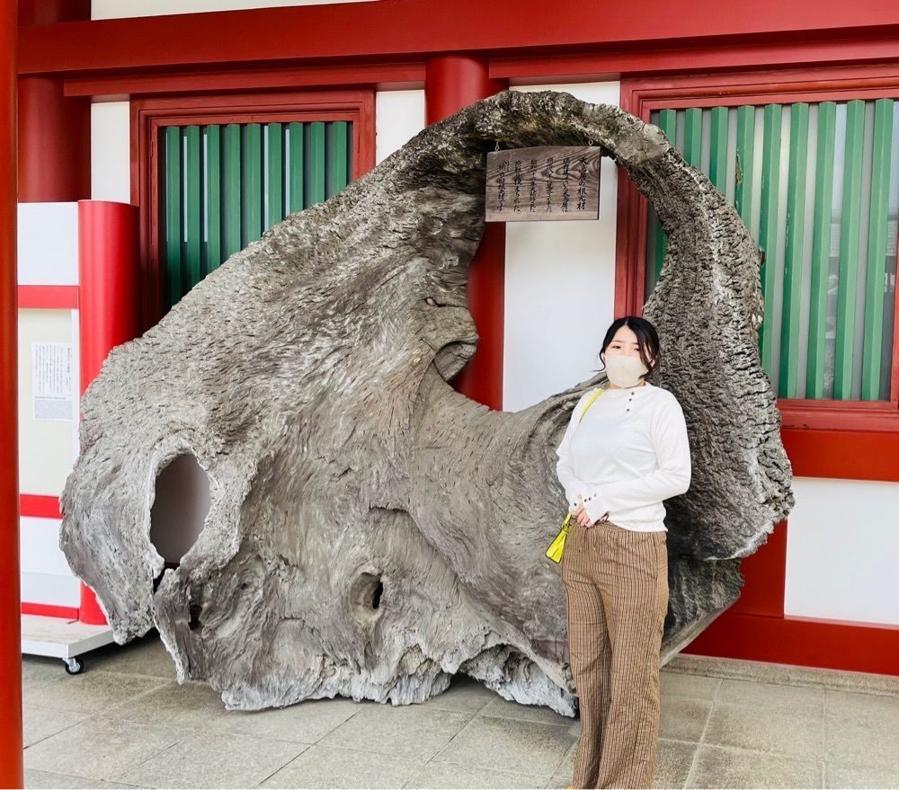 みーなさんが投稿した嚴島神社宝物館に関する口コミの画像