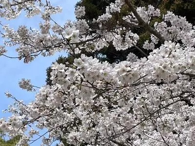 大元公園