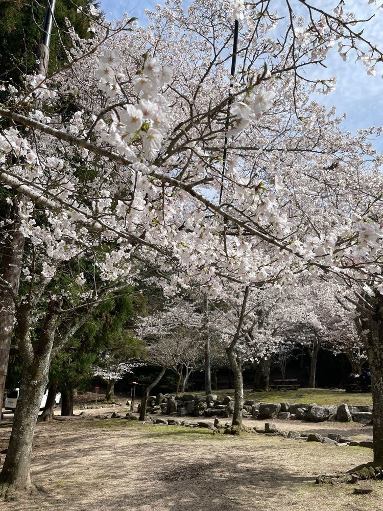 みーなさんが投稿した大元公園に関する口コミの画像
