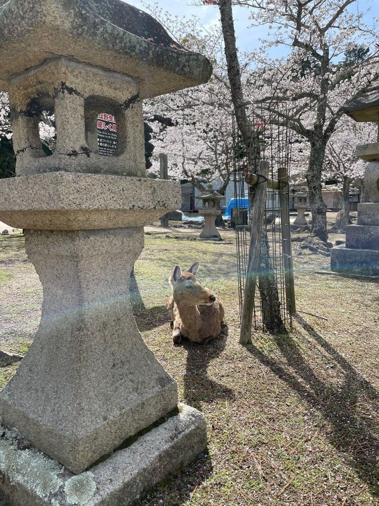 みーなさんが投稿した大元公園に関する口コミの画像