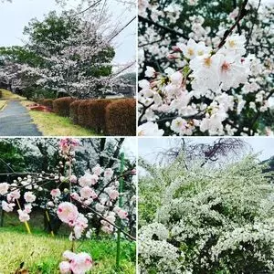 水源公園