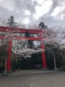 冠稲荷神社の木瓜