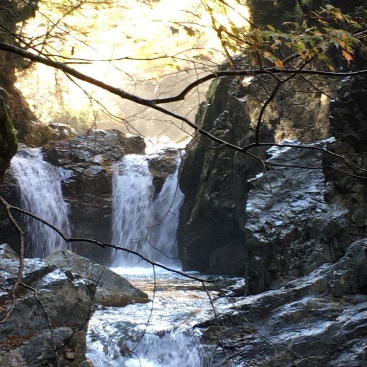 tomotomoさんが投稿した巌立峡 ひめしゃがの湯に関する口コミの画像