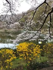 岩宿博物館