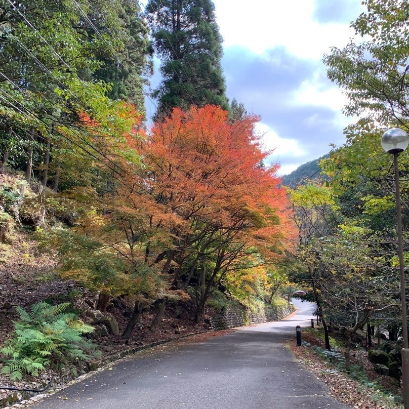 メリーさんが投稿した森の国ホテルに関する口コミの画像