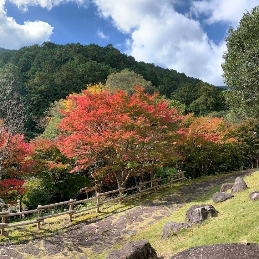 メリーさんが投稿した森の国ホテルに関する口コミの画像