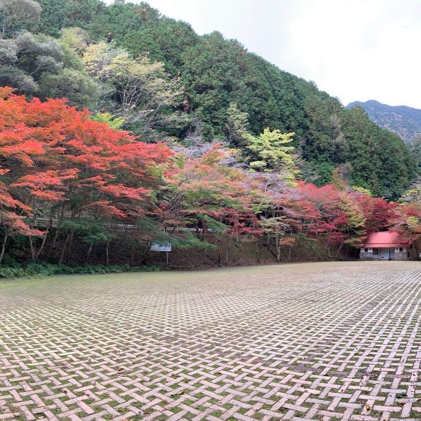 メリーさんが投稿した滑床キャンプ場に関する口コミの画像