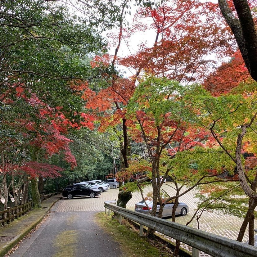 メリーさんが投稿した滑床キャンプ場に関する口コミの画像