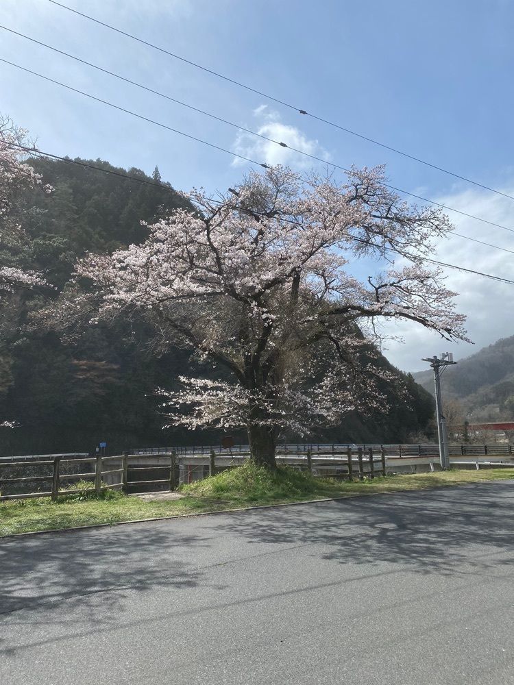 あるふぃすたさんが投稿したぷらっとホームつなみに関する口コミの画像