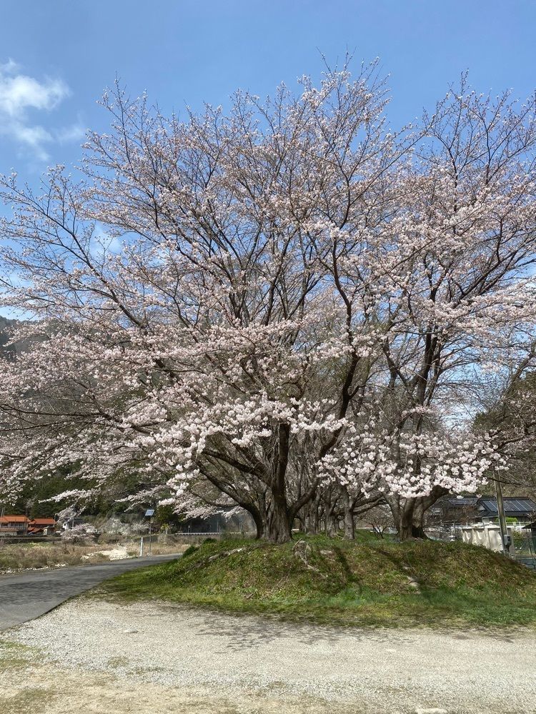 あるふぃすたさんが投稿したぷらっとホームつなみに関する口コミの画像