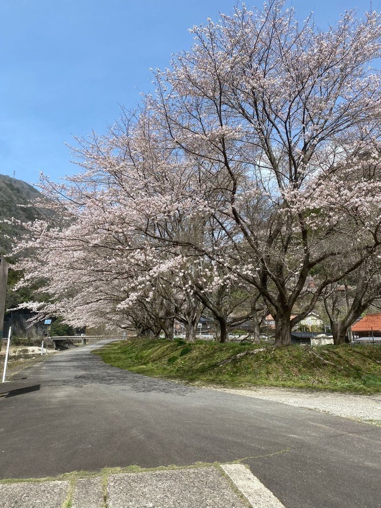 あるふぃすたさんが投稿したぷらっとホームつなみに関する口コミの画像