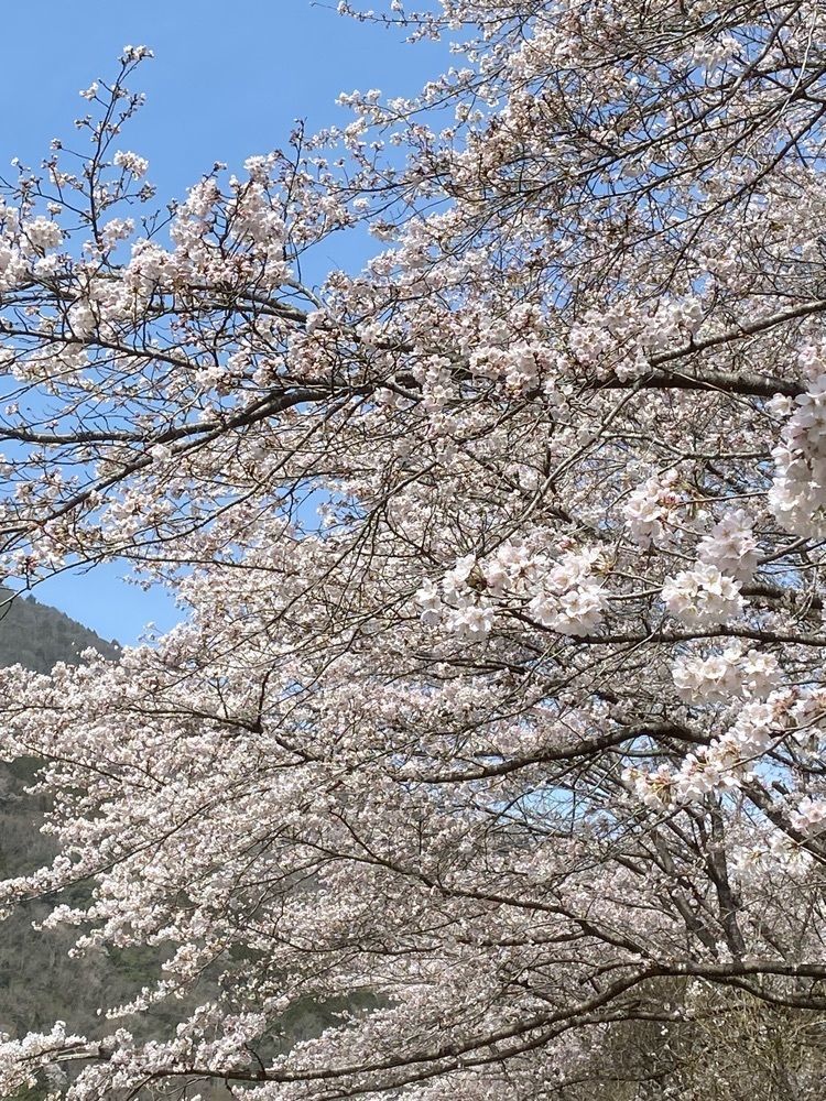 あるふぃすたさんが投稿したぷらっとホームつなみに関する口コミの画像