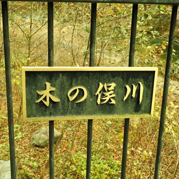 Shoさんが投稿した巨岩吊橋に関する口コミの画像