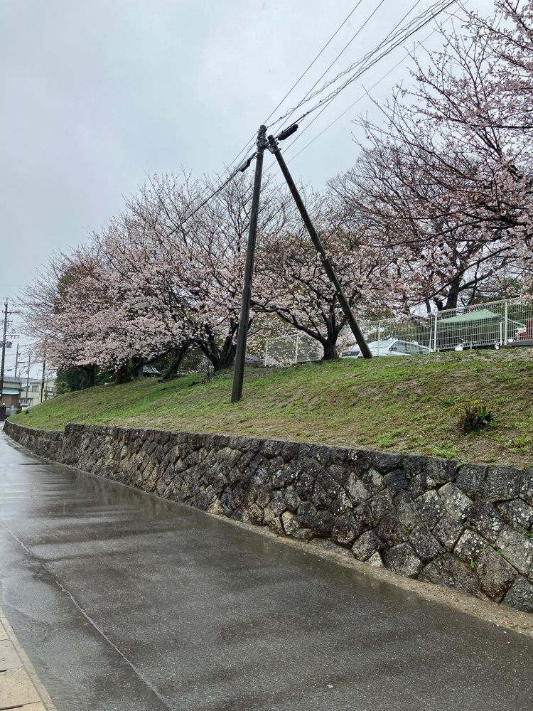 べべさんが投稿した養寿寺に関する口コミの画像