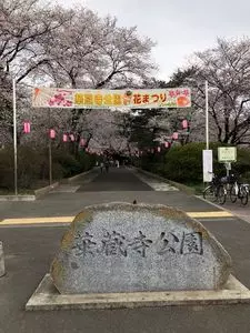 華蔵寺公園